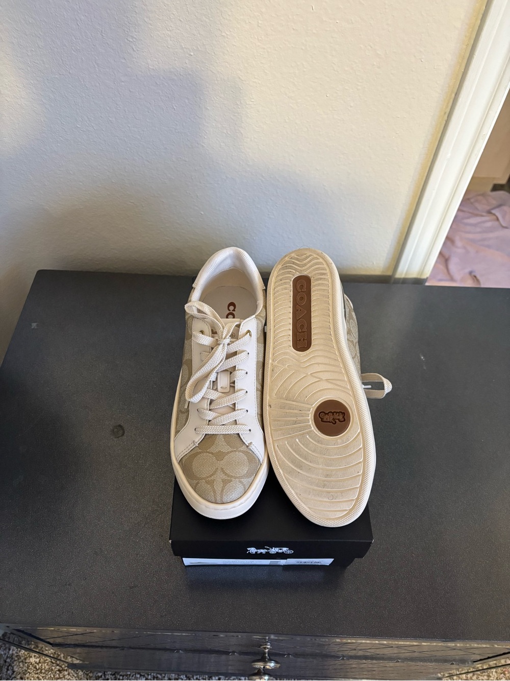 Coach Chalk Low Top Sneakers